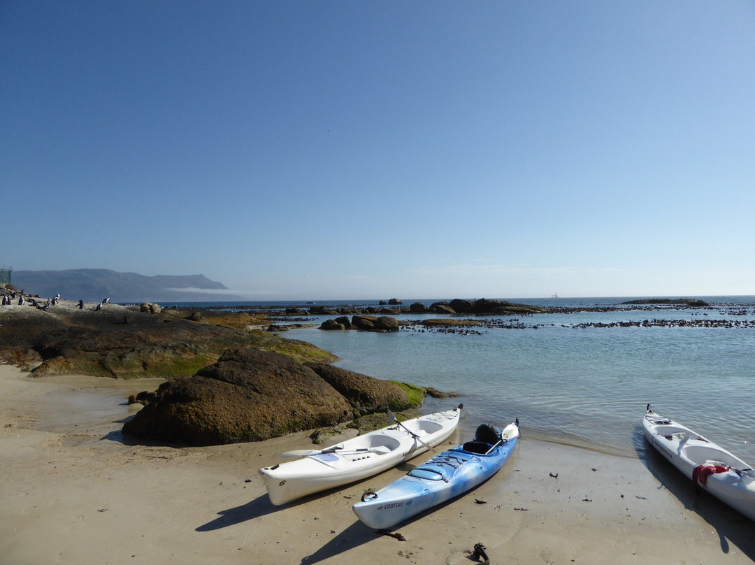 Driftwood Tours and Travel-西门镇必去景点