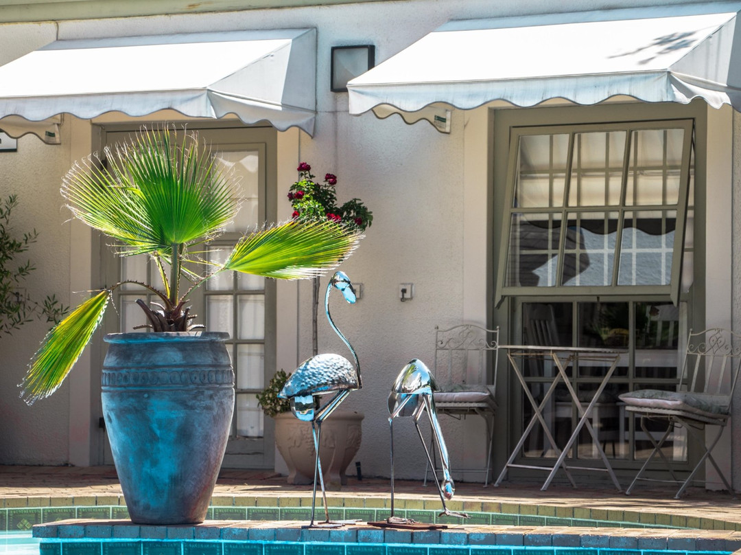 Newlands酒店住宿-野生橄榄豪华宾馆