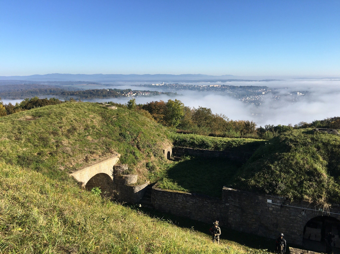 Fort du Mont-Bart景点图片