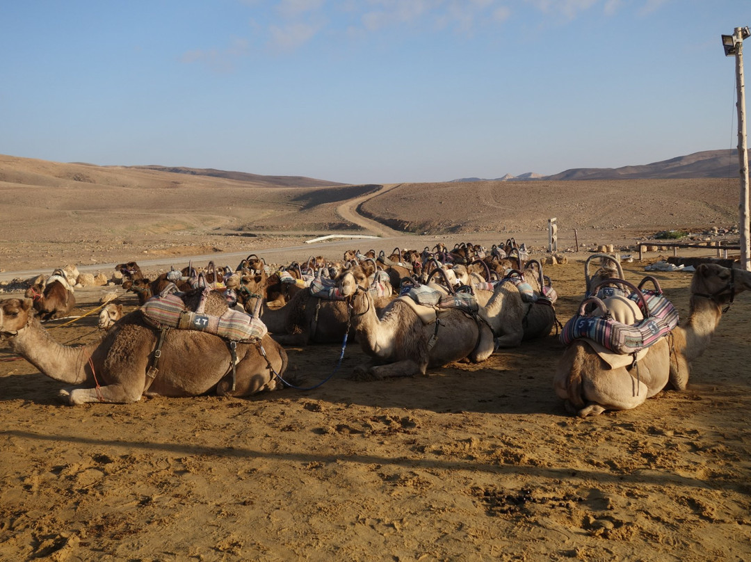 Galilee Private Tours-提比利亚必去景点