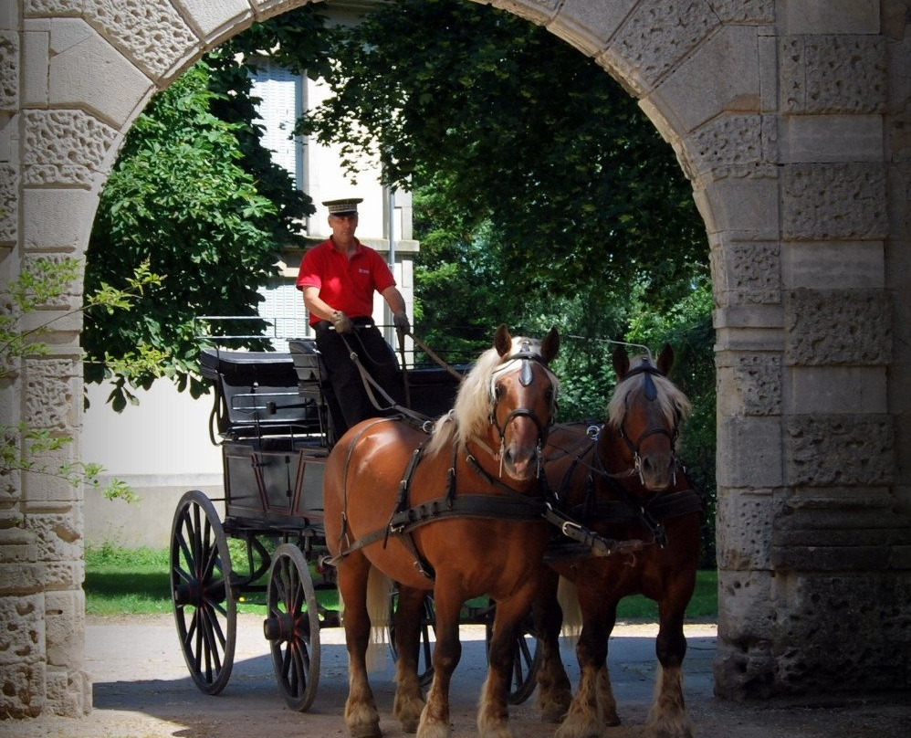 Haras national de Rosières aux Salines-Dombasle-sur-Meurthe必去景点