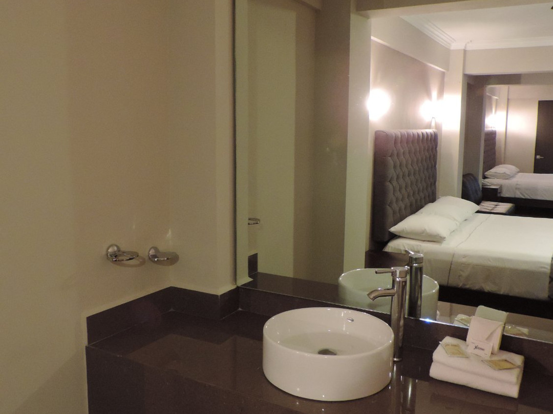 Hotel Senorial Platino主图