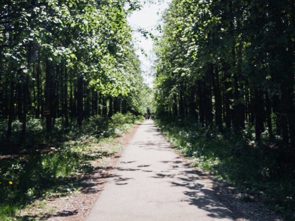 Bashkortostan Forester's Park景点图片
