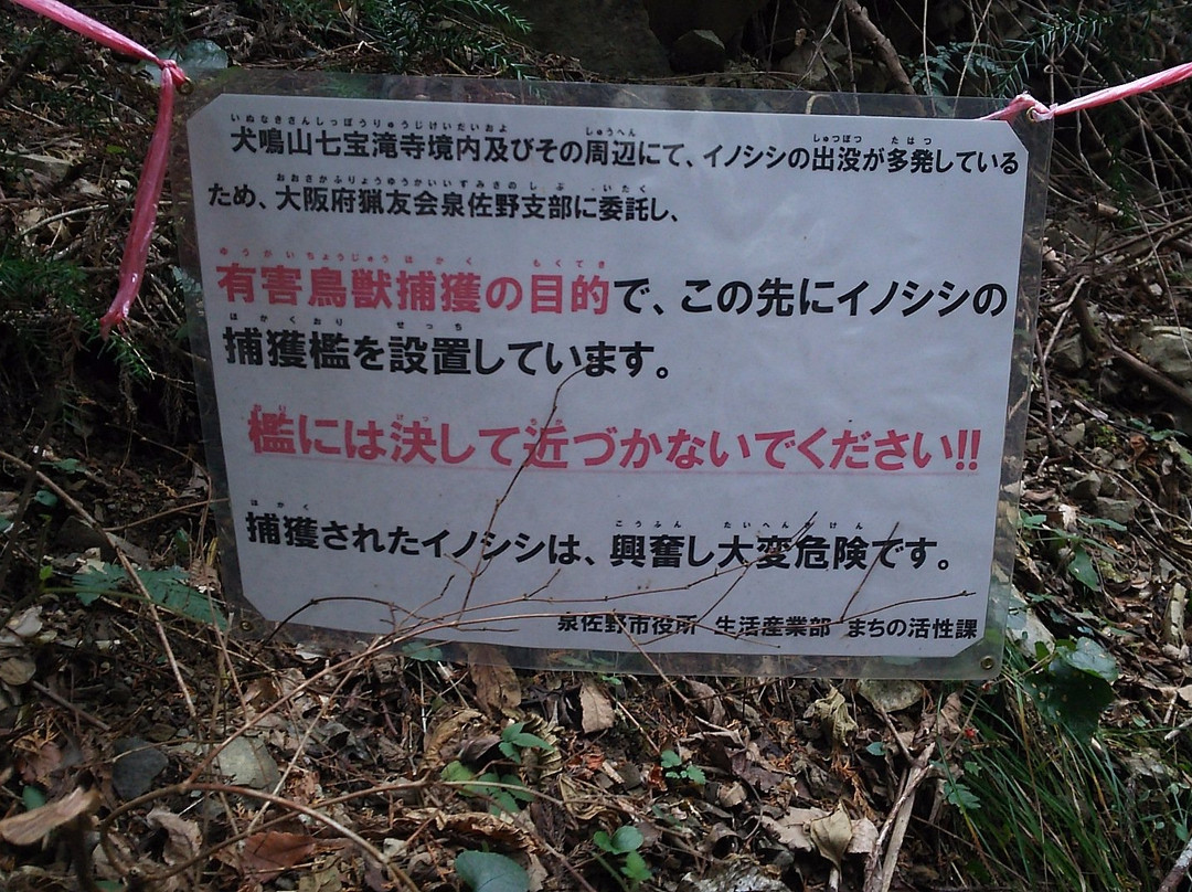 Inunakisan Izumikatsuragi Mountain Hiking Course-泉佐野市必去景点