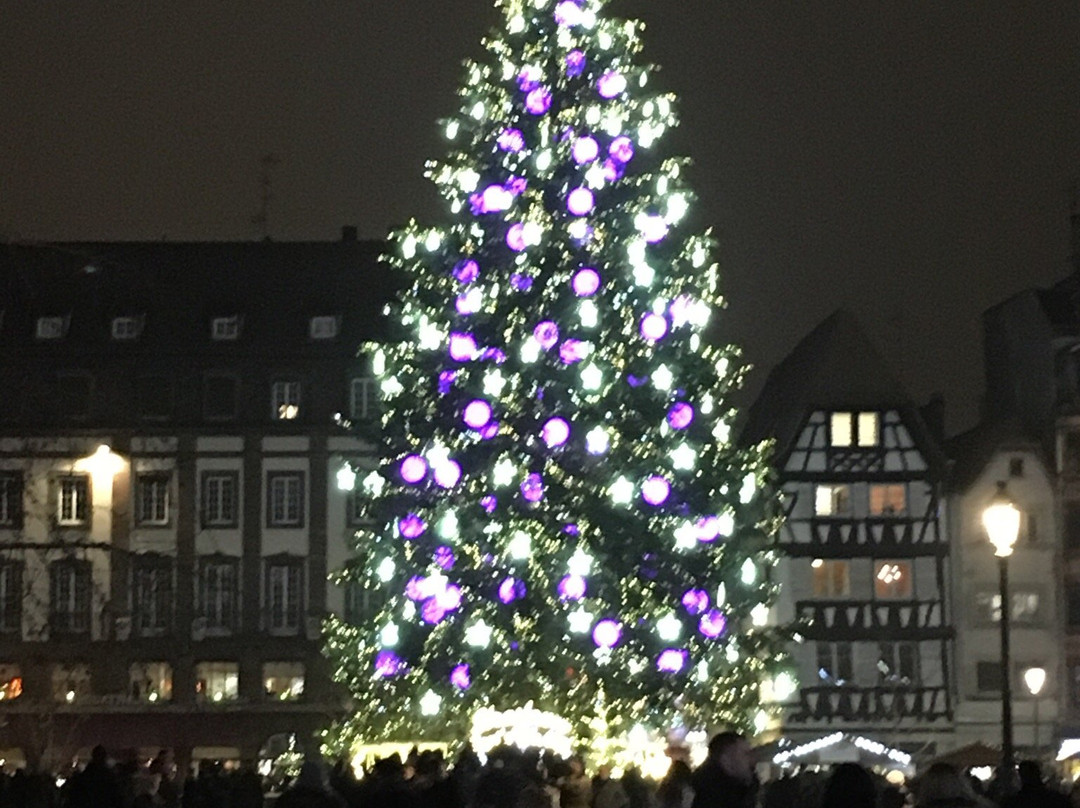 Un Noël en Alsace-斯特拉斯堡必去景点