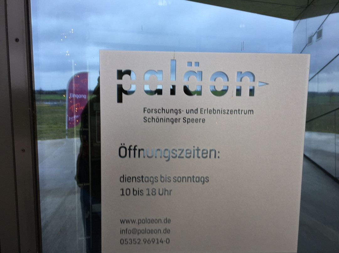 Forschungsmuseum Schöningen景点图片