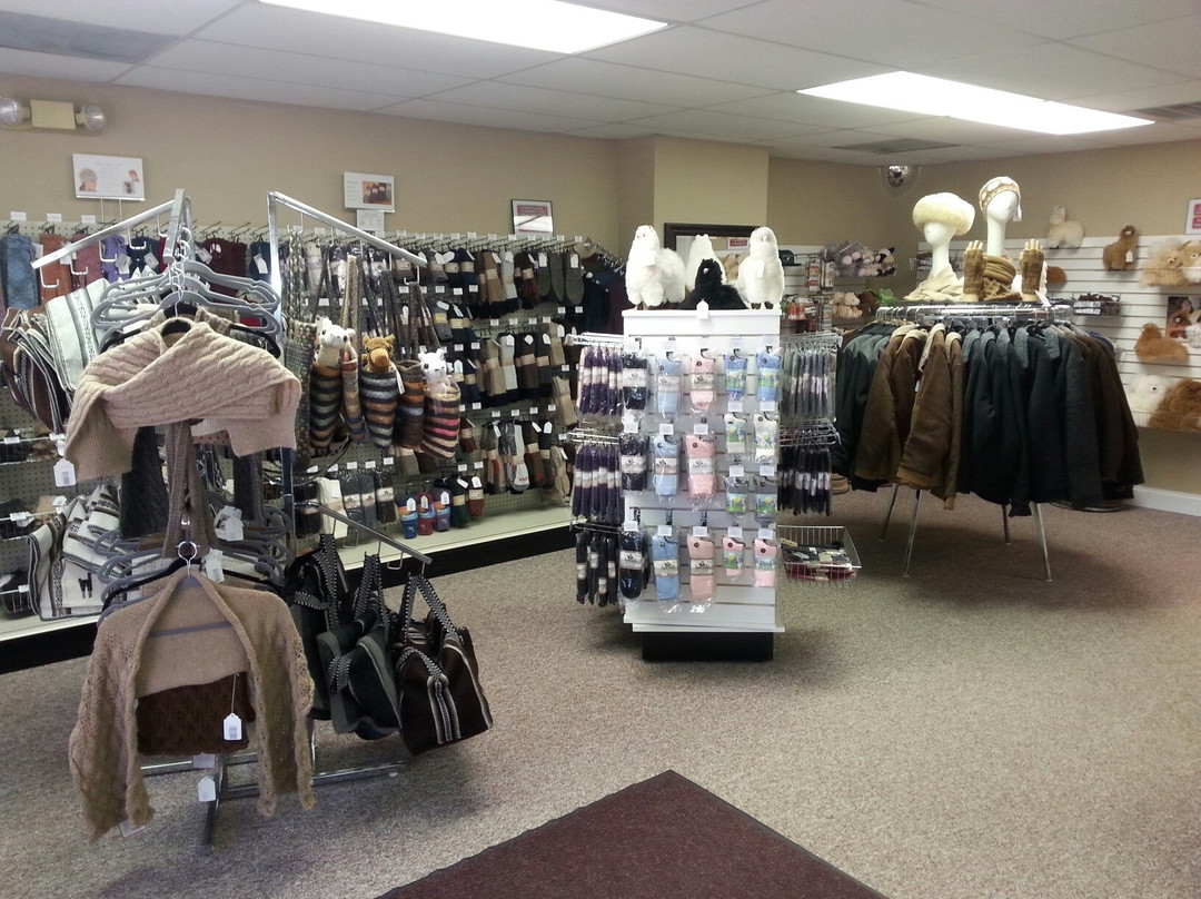 Fox Wire Farm Alpacas-Toano必去景点