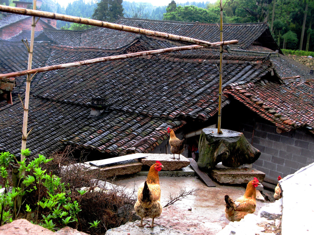 文成刘基故里-文成县必去景点