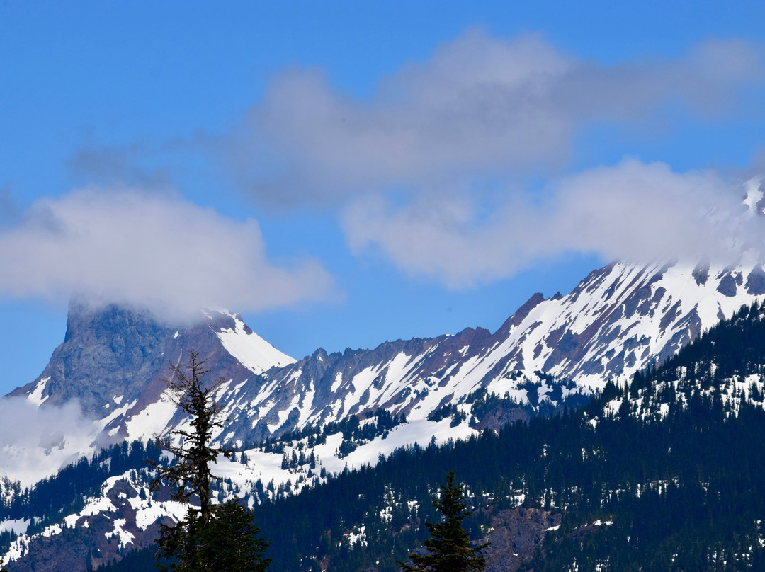 Mt Baker Ski Area景点图片