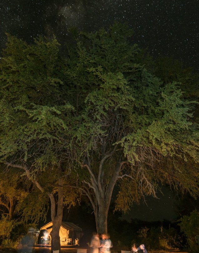 Nyalaland Wilderness Trail-克鲁格国家公园必去景点