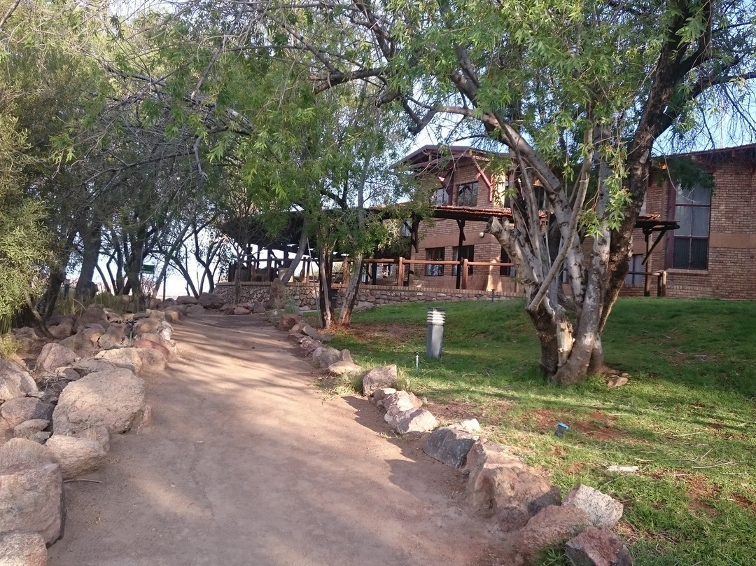 Quiver Tree Restaurant