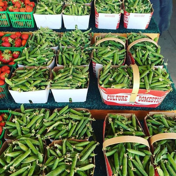 Lee and Maria's-Kingsville必去景点