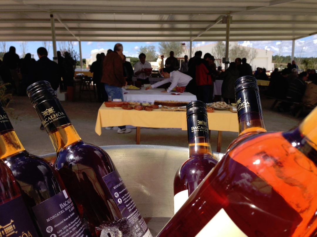 Sesimbra Natura Park-塞新布拉必去景点