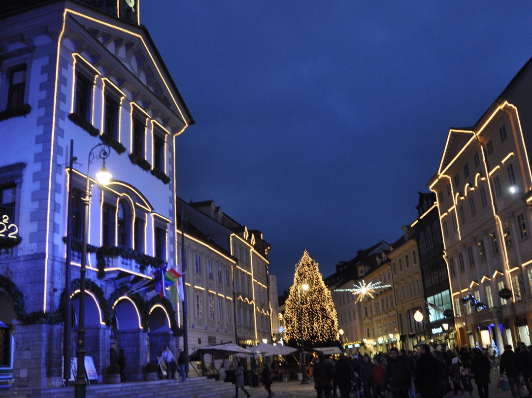 Town Hall (Magistrat)景点图片