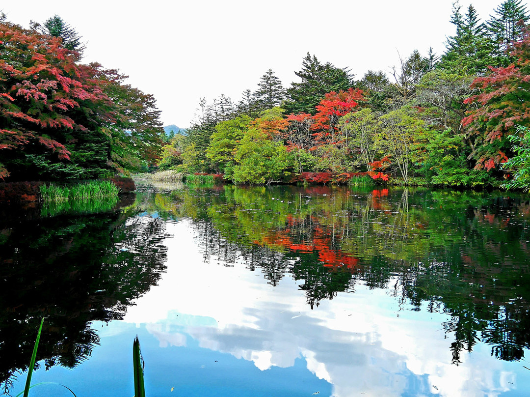 轻井泽町旅游攻略图片