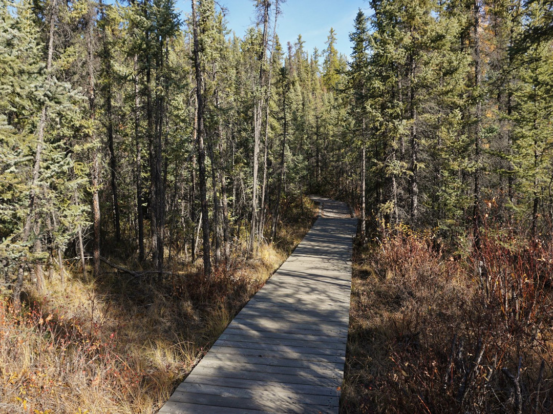 Cameron River Ramparts-黄刀镇必去景点