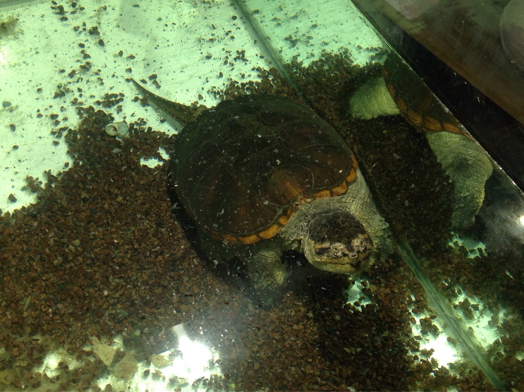 Oceanography Center Open Ocean-明斯克必去景点