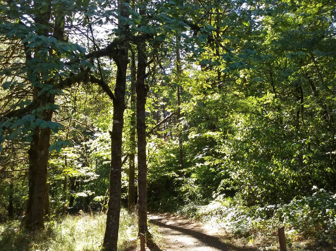 Peavy Arboretum-科瓦利斯必去景点