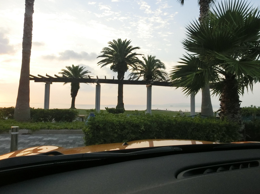 Shiraya Seaside Park-田原市必去景点