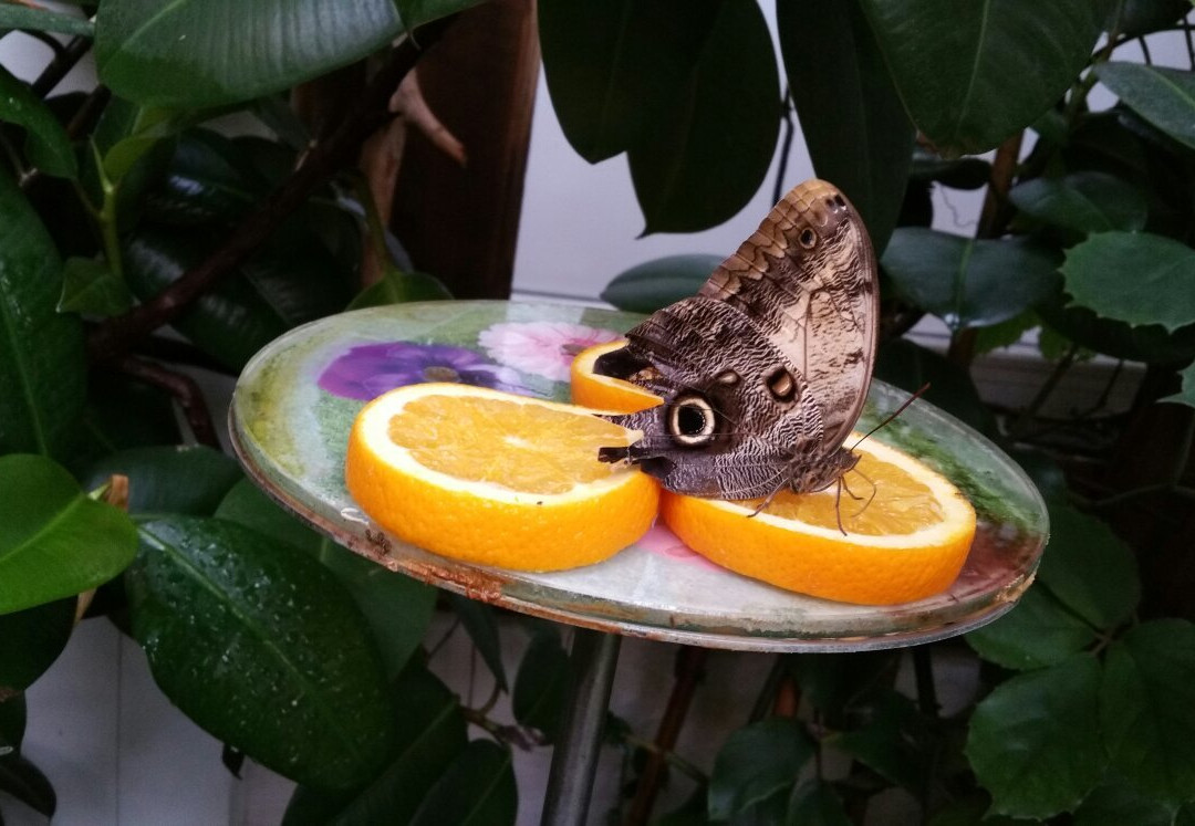 Dschungelhaus in Tirol-Terfens必去景点