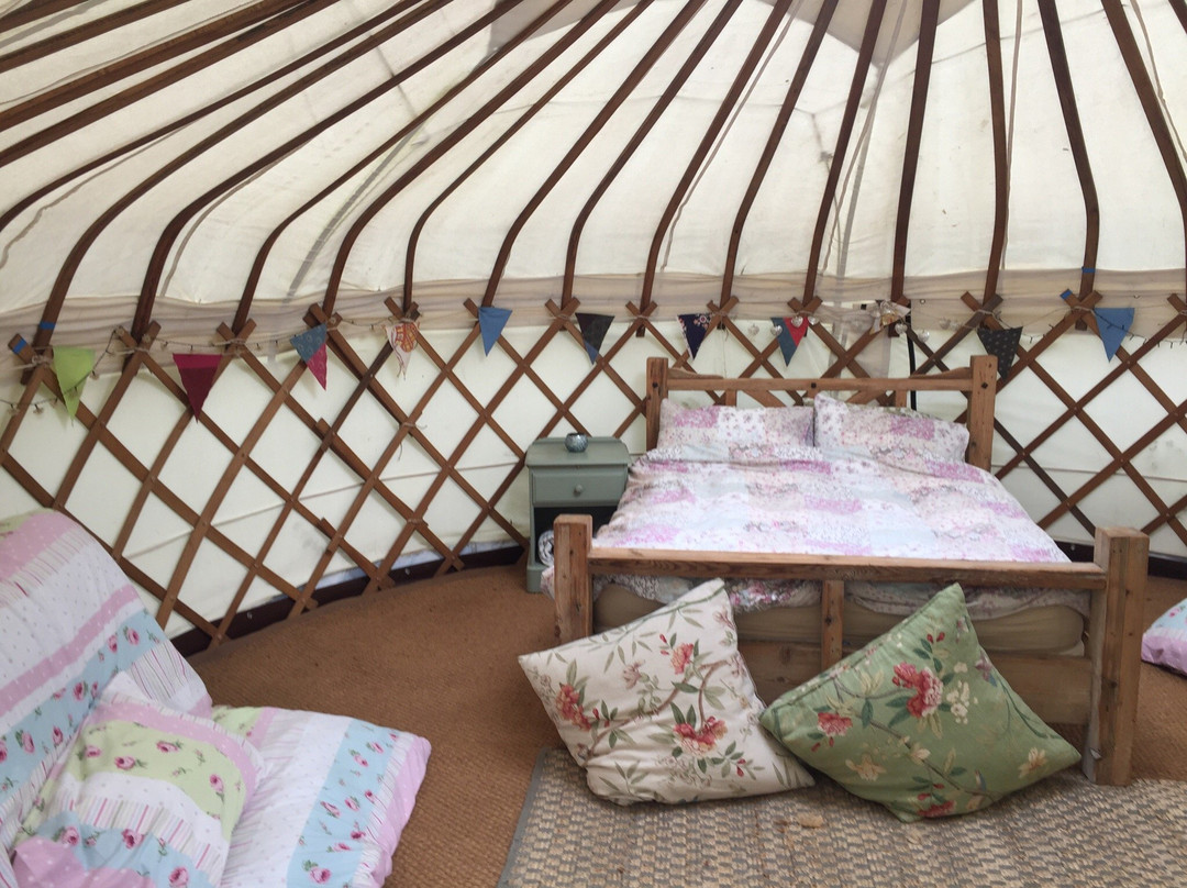 Mountain Cottage Yurts