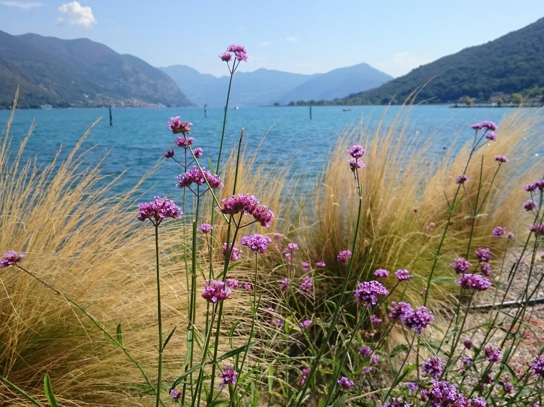 Parco Delle Erbe Danzanti景点图片