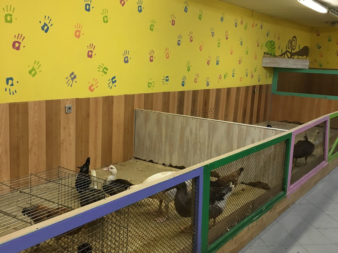 Solnechnoye Rancho-秋明必去景点