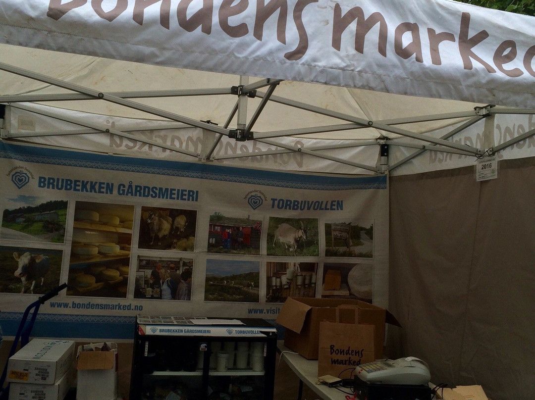 Bondens Marked景点图片