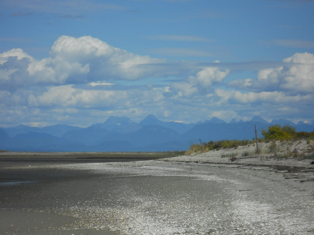 Sandy Island Marine Provincial Park景点图片