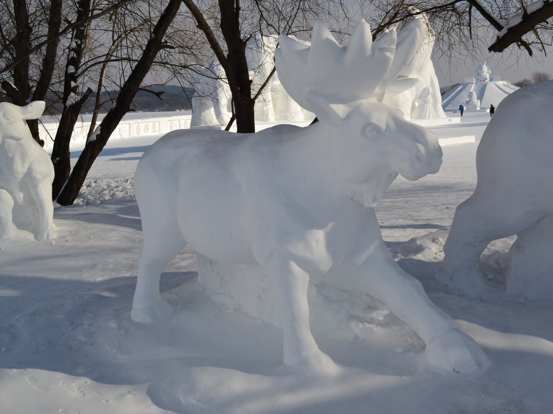 冰灯大观园-长春市必去景点