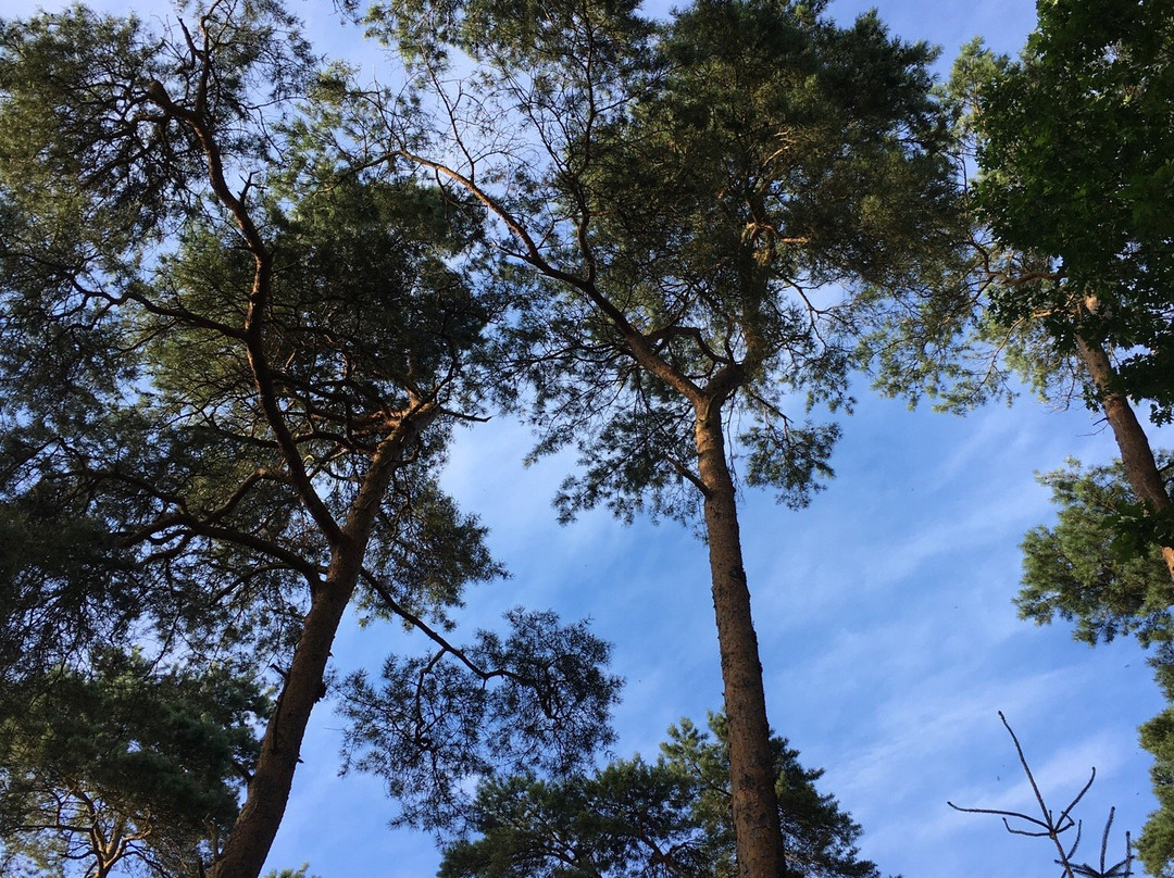 Camping Fazantenhof