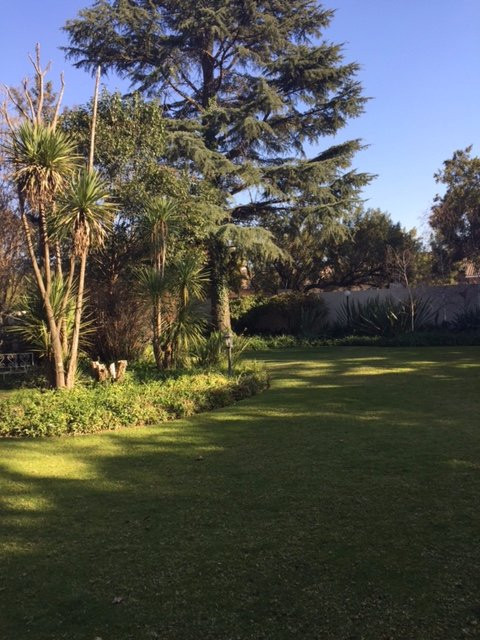 Amadeus Guesthouse