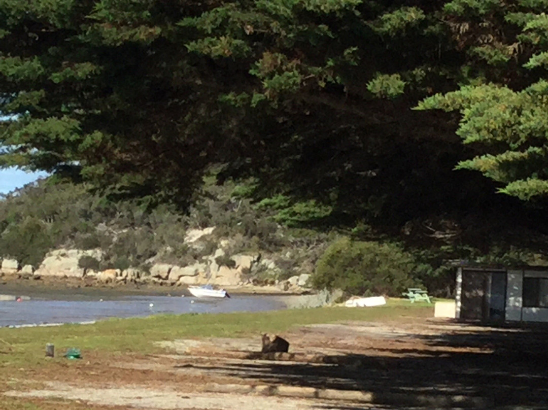 Yanakie/Duck Point Loop-Yanakie必去景点