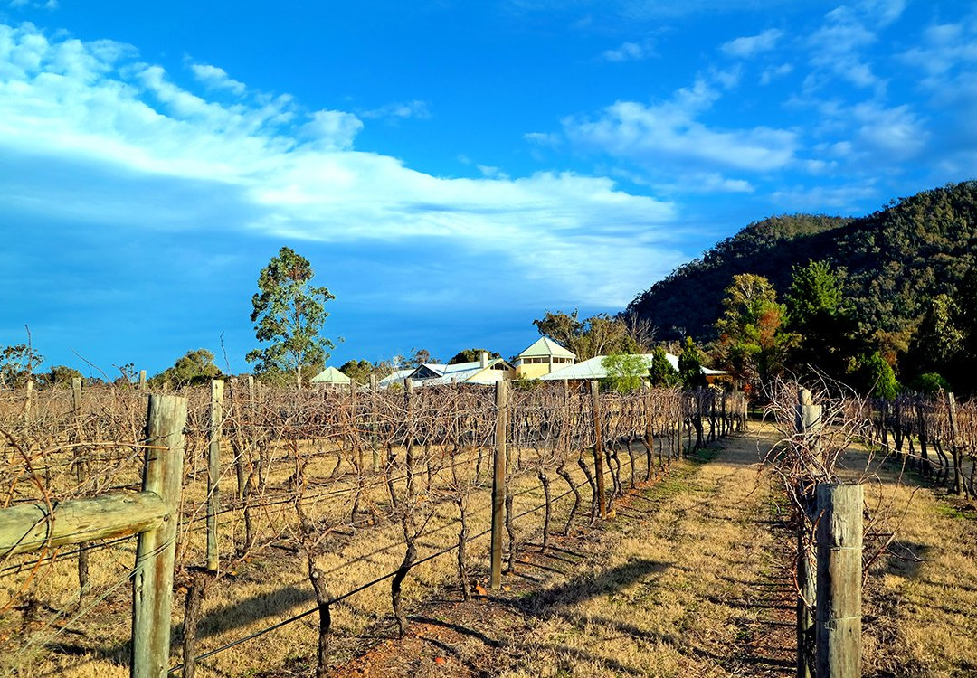 Glenguin Estate and Vineyard-Broke必去景点
