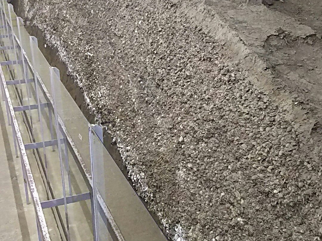 Kasori Shellmounds Site Museum-千叶市必去景点