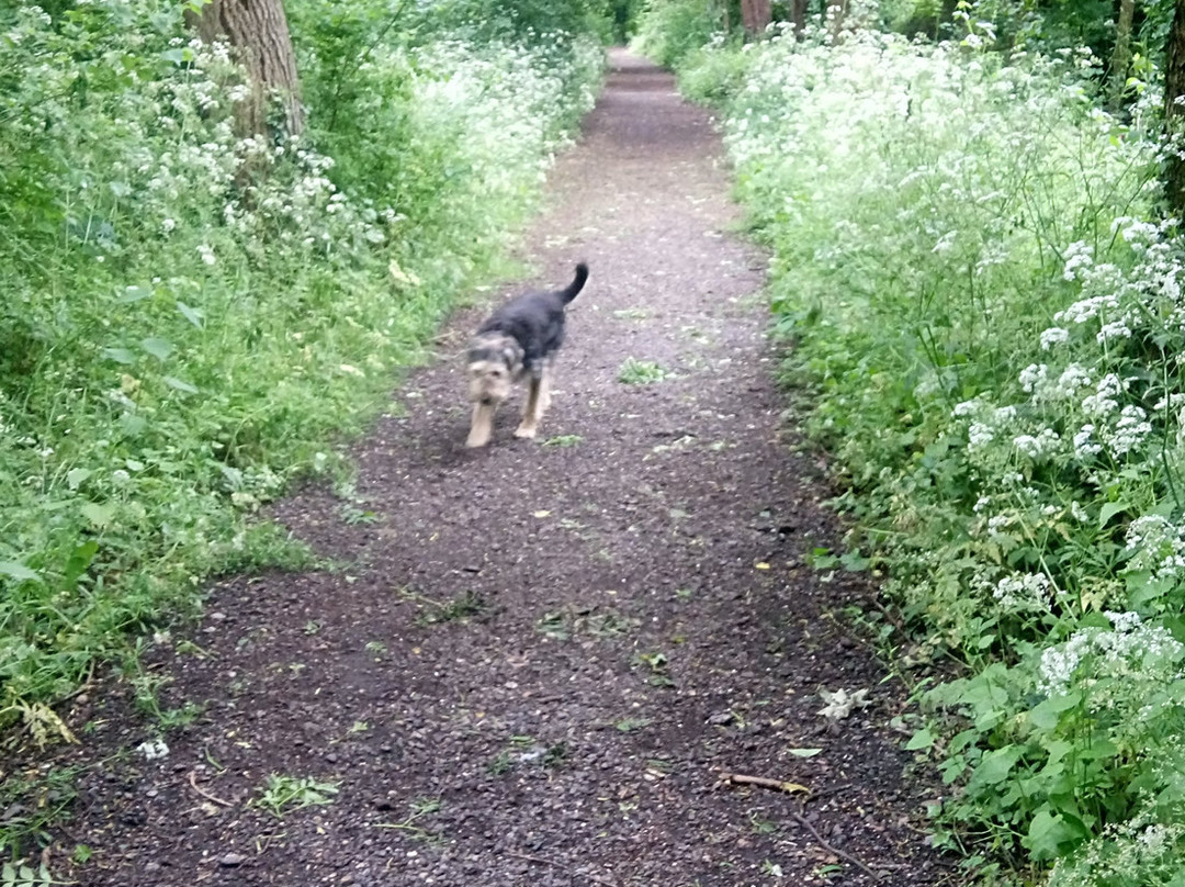 Hillingdon Trail景点图片