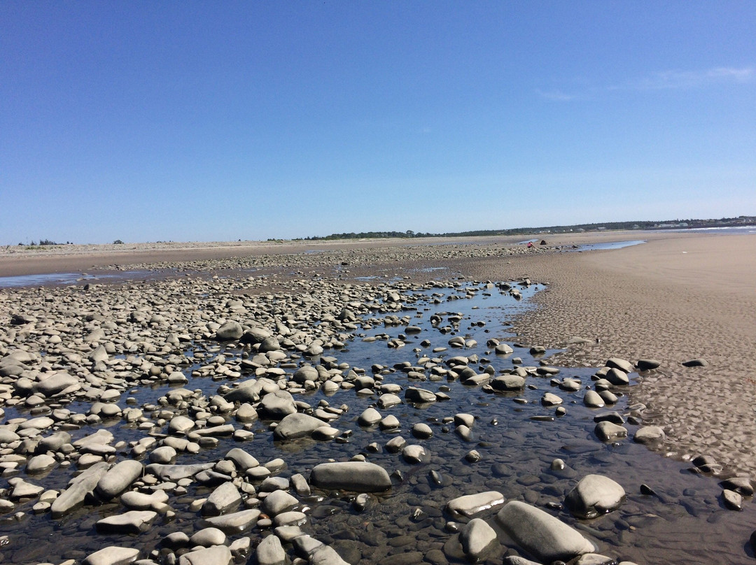 Port Maitland Beach Provincial Park景点图片