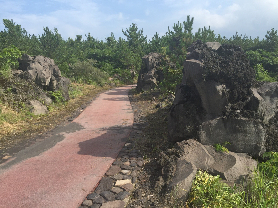Sakurajima Lava Nagisa Promenade景点图片