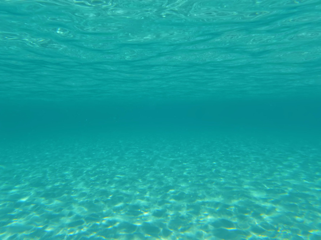 Malamawi Island-Isabela City必去景点