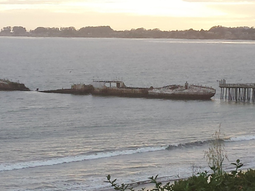 S.S. Palo Alto Concrete Ship-阿普托斯必去景点