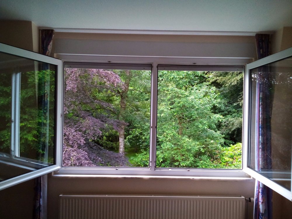 Fasanerie-酒店景观