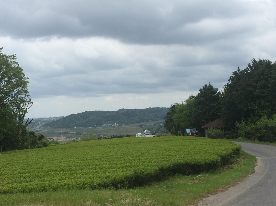 Mt. Tsubokane景点图片