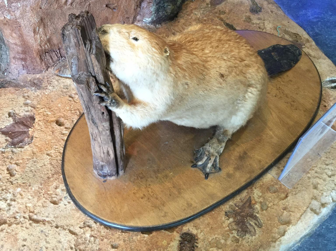 Oxbow Meadows Environmental Learning Center-哥伦布必去景点