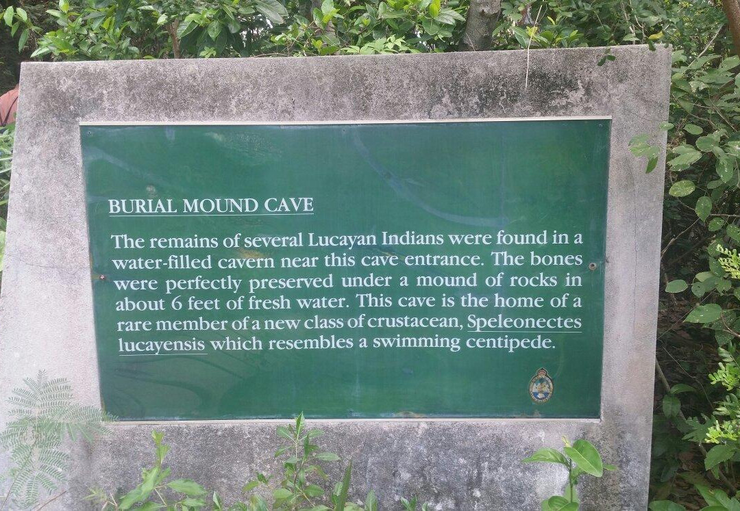 Lucayan Caverns景点图片
