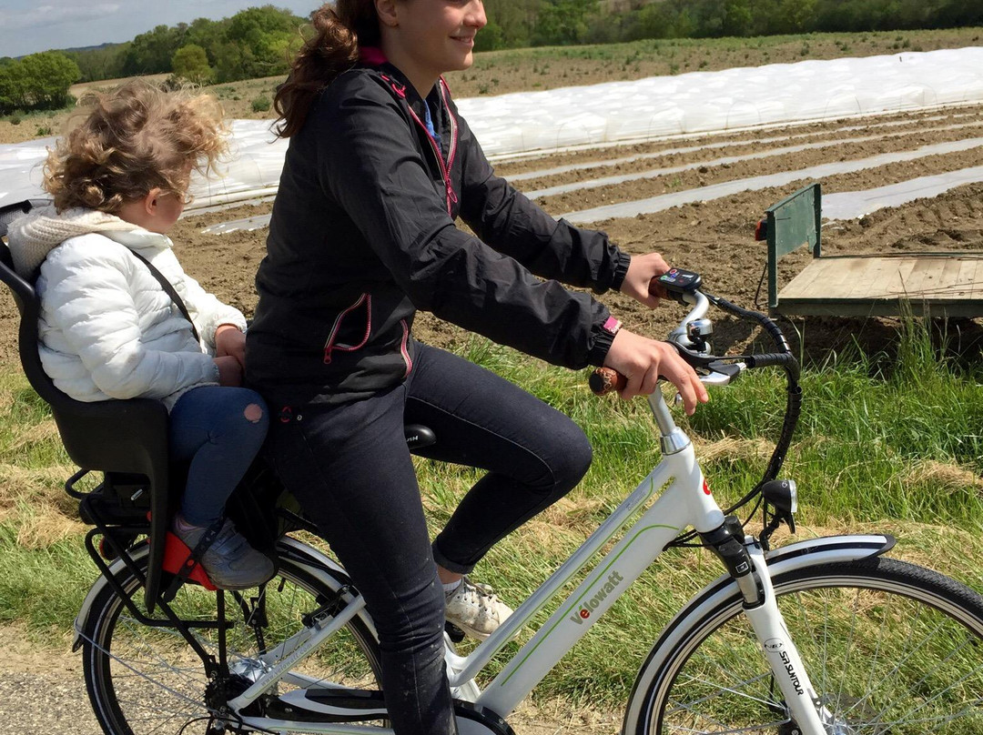 Rando velo electrique a Condom景点图片