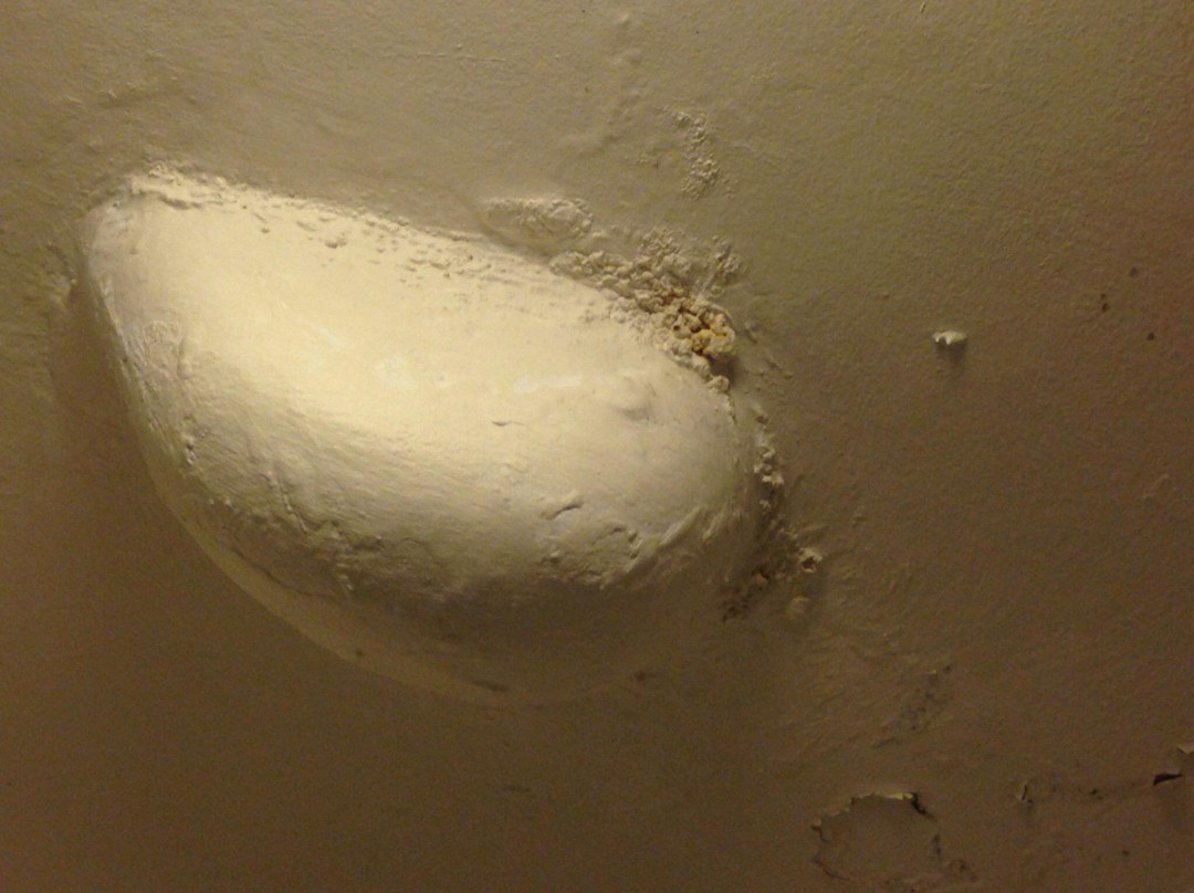 Panorama Motor Inn主图