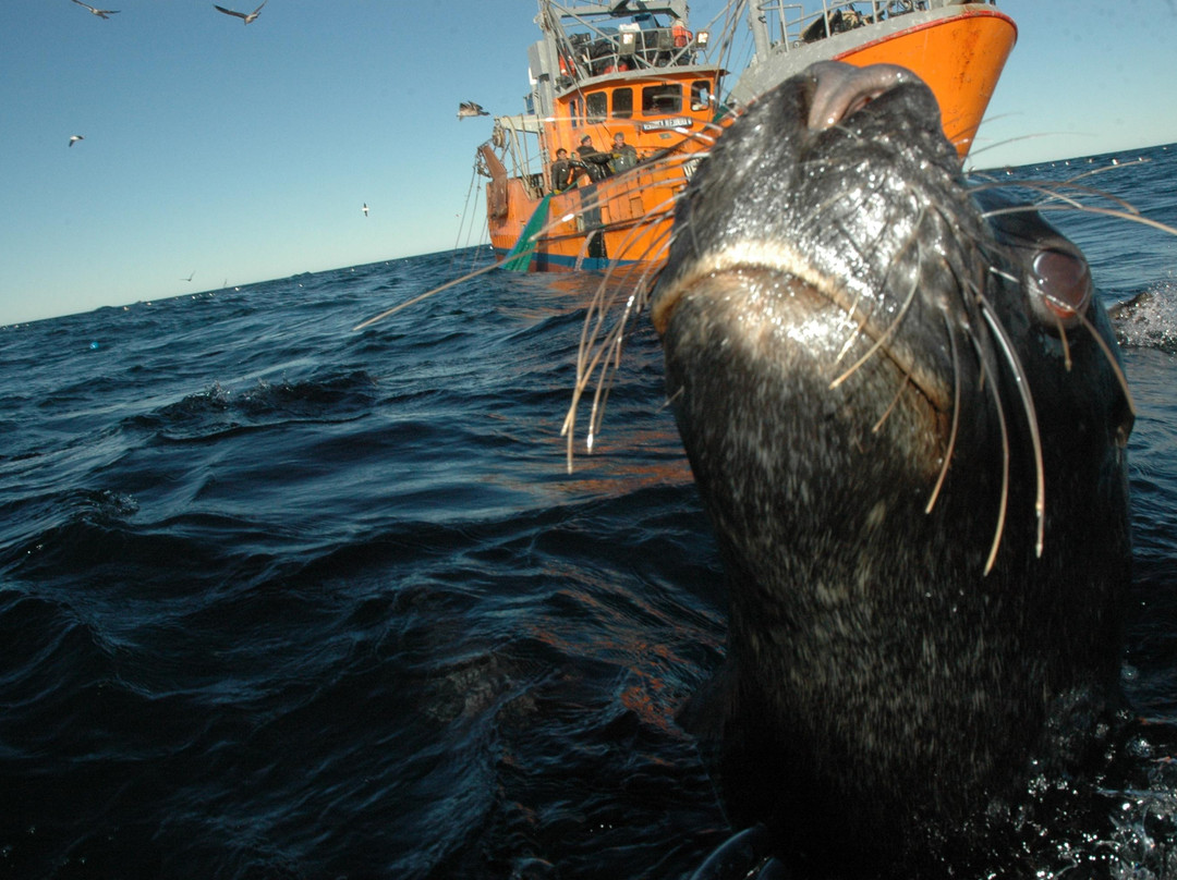 Toninas Adventure-Puerto Rawson必去景点