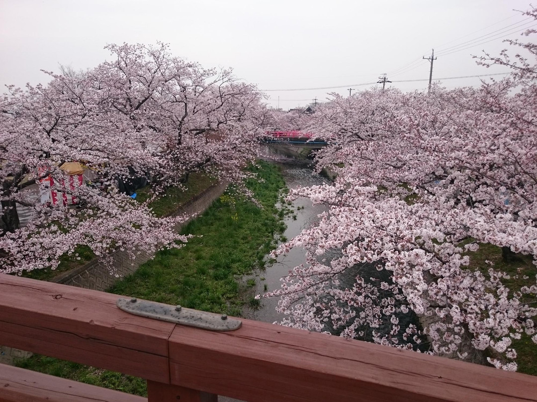Horioseki Park-大口町必去景点