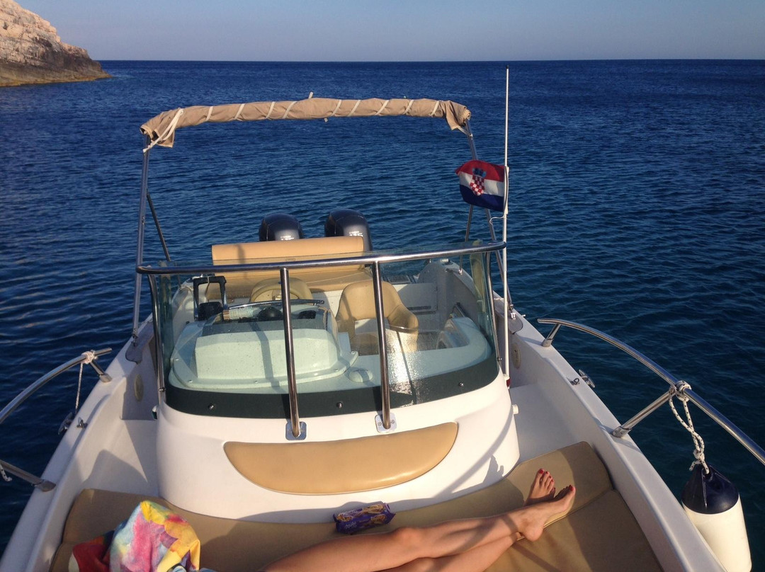 Navigator - Day Tours-维斯必去景点