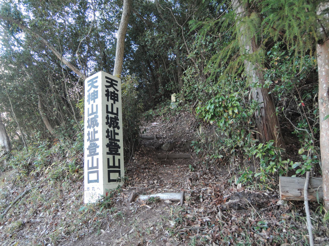 Wakeutsukushii Mori景点图片